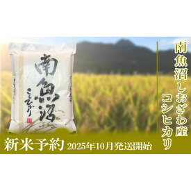 【ふるさと納税】【新米予約・令和7年産】定期便／2kg×3ヶ月 生産者限定 南魚沼しおざわ産コシヒカリ【2025年10月上旬より順次発送予定】