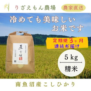 yӂ邳Ɣ[ŁzsVė\tty3×5kgsv15kgtzߘa7NY@싛YRVqJ@5kg@_Y_ƒ^y2025N10{菇\z |    RVqJ