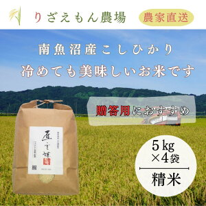 yӂ邳Ɣ[ŁzsVė\tt20kgu5kg×4܁vupɂ߂łv@ߘa7NY@싛YЂ@여@ _(݁@񂿂傤j_Y_ƒ^y2025N10