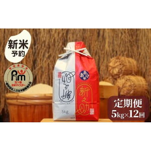 yӂ邳Ɣ[Łzyߘa7NYVė\z  VV 싛Y 60kg ( 5kg × 12 ) ܂ ă}CX^[y2025N10{菇\z |    VV Hi lC 