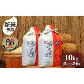 【ふるさと納税】【令和7年産新米予約】米 新之助 南魚沼産 10kg ( 5kg × 2個 ) 五つ星 お米マイスター【2025年10月下旬より順次発送予定】 | お米 こめ 白米 新之助 食品 人気 おすすめ 送料無料 魚沼 南魚沼