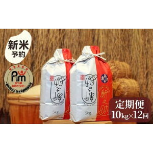 yӂ邳Ɣ[Łzyߘa7NYVė\z  VV 싛Y 120kg ( 5kg × 2 × 12 ) ܂ ă}CX^[y2025N10{菇\z |    VV Hi lC 