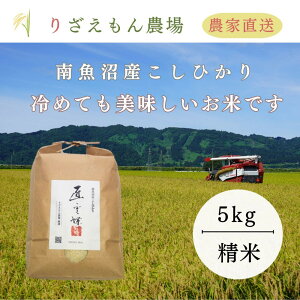 yӂ邳Ɣ[Łz5kg ߘa7NY@싛YЂ@여@ _(݁@񂿂傤j _Y_ƒ^ |    RVqJ Hi lC  