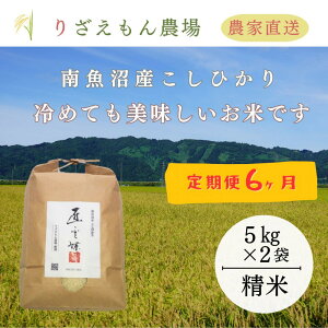 yӂ邳Ɣ[ŁzsVė\tty6×10kgፇv60kgzߘa7NY@싛YRVqJ@ 10kg@_Y_ƒ^y2025N10{菇\z |    RVq