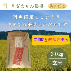 yӂ邳Ɣ[ŁzsVė\tty5×30kgsv150kgtzyuzߘa7NY@싛YRVqJ@ 30kg@_Y_ƒ^y2025N10{菇\z |  