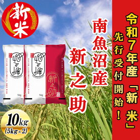 【ふるさと納税】【令和7年産新米先行予約】南魚沼産新之助10kg【2025年10月下旬より順次発送予定】 | 送料無料 送料無料 魚沼産 魚沼 新潟 新潟県産 白米 精米 米 お米 産直 産地直送 お取り寄せ