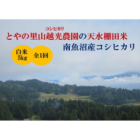 【ふるさと納税】【令和7年産新米予約】とやの里山越光農園「天水棚田米」南魚沼塩沢産コシヒカリ　精米5kgx全1回【2025年12月下旬より順次発送予定】