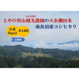 【ふるさと納税】【令和7年産新米予約】【定期便】とやの里山越光農園「天水棚田米」南魚沼塩沢産コシヒカリ　精米10kg(5kgx2)x全12回【2025年12月下旬より順次発送予定】