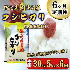 【ふるさと納税】【令和7年産新米予約】米 定期便 コシヒカリ 南魚沼産 30kg ( 5kg × 6ヵ月 )【2025年11月中旬より順次発送予定】 | お米 こめ 白米 コシヒカリ 食品 人気 おすすめ 送料無料 魚沼 南魚沼 南魚沼市 新潟県産 新潟県 精米 産直 産地直送 お取り寄せ お楽しみ