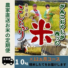 【ふるさと納税】【令和7年産】12か月定期便　がんこおやじが作った南魚沼産コシヒカリ白米10kg（5kg×2袋） | お米 こめ 白米 コシヒカリ 食品 人気 おすすめ 送料無料 魚沼 南魚沼 南魚沼市 新潟県産 新潟県 精米