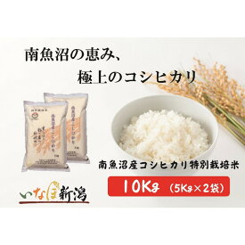 【ふるさと納税】令和7年産 南魚沼産コシヒカリ特別栽培米 白米 10kg(5kg×2) | お米 こめ 白米 食品 人気 おすすめ 送料無料