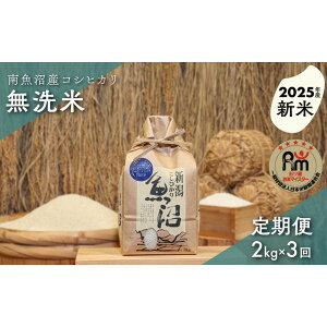 �y�ӂ邳�Ɣ[�Łz�y�V�āz�ߘa7�N�Y�u�܂����ă}�C�X�^�[�v�̓싛���Y�R�V�q�J���@������2kg×3��i��������ցj | ���� ���� ���� �V�V�� �H�i �l�C �������� �������� ���� �싛��