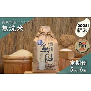 【ふるさと納税】【新米】令和7年産「五つ星お米マイスター」の南魚沼産コシヒカリ 無洗米5kg×6回(毎月定期便) | お米 こめ 白米 新之助 食品 人気 おすすめ 送料無料 魚沼 南魚沼