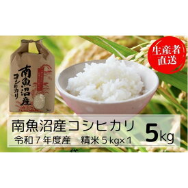 【ふるさと納税】【令和7年産】【精米】南魚沼産コシヒカリ特A（精米5kg） | お米 こめ 白米 食品 人気 おすすめ 送料無料