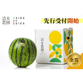 【ふるさと納税】2026年7月下旬から発送予定　野菜ソムリエサミット金賞受賞　「清水農園の八色産金色羅皇」（1玉） | フルーツ 果物 くだもの 食品 人気 おすすめ 送料無料