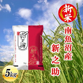 【ふるさと納税】【令和7年産新米先行予約】南魚沼産新之助5kg【2025年10月下旬より順次発送予定】 | 送料無料 送料無料 魚沼産 魚沼 新潟 新潟県産 白米 精米 米 お米 産直 産地直送 お取り寄せ