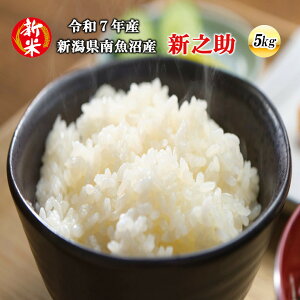 yӂ邳Ɣ[Łzyߘa7NYVĐs\z싛YVV5kgy2025N10{菇\z |   Y  V VY     Y Yn 