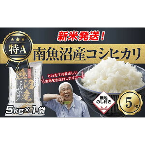 �y�ӂ邳�Ɣ[�Łz�u���n�̂��v �ߘa6�N�Y �V���� �싛���Y �R�V�q�J�� ���� 5kg ���čς݁i���Ă̔��������������K�C�h�t���j ���� ���� ���� �����Ђ��� �H�i �l�C �������� �������� ���� 