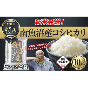 �y�ӂ邳�Ɣ[�Łz�u���n�̂��v �ߘa6�N�Y �V���� �싛���Y �R�V�q�J�� ���� 5kg×2�� �v10kg ���čς݁i���Ă̔��������������K�C�h�t���j ���� ���� ���� �����Ђ��� �H�i �l�C �������� ����