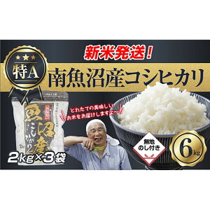 �y�ӂ邳�Ɣ[�Łz�u���n�̂��v �ߘa7�N�Y �V���� �싛���Y �R�V�q�J�� ���� 2kg×3�� �v 6kg ���čς݁i���Ă̔��������������K�C�h�t���j ���� ���� ���� �����Ђ��� �H�i �l�C �������� ���� 