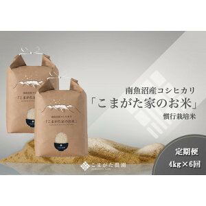 �y�ӂ邳�Ɣ[�Łz�y����ցz�y�ߘa7�N�Y�z���I�������싛���Y�R�V�q�J���u���܂����_���̂��āv 4kg(2kg×2��)×6�� | �싛���s ���I�������싛���Y�R�V�q�J�� ���� ���I ������ �O��