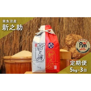 �y�ӂ邳�Ɣ[�Łz�� ����� �V�V�� �싛���Y 15kg ( 5kg × 3���� ) �܂� ���ă}�C�X�^�[ | ���� ���� ���� �V�V�� �H�i �l�C �������� �������� ���� �싛��