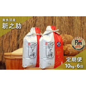 �y�ӂ邳�Ɣ[�Łz�� ����� �V�V�� �싛���Y 60kg ( 5kg × 2�� × 6���� ) �܂� ���ă}�C�X�^�[ | ���� ���� ���� �V�V�� �H�i �l�C �������� �������� ���� �싛��