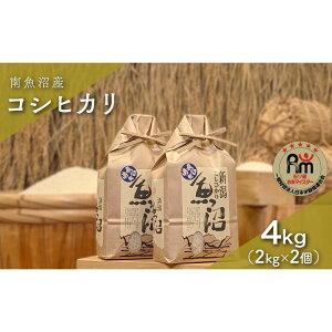 �y�ӂ邳�Ɣ[�Łz�ߘa7�N�Y�u�܂����ă}�C�X�^�[�v�̓싛���Y�R�V�q�J���@����4kg�i2kg×2�j | ���� ���� ���� �V�V�� �H�i �l�C �������� �������� ���� �싛��