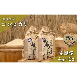 �y�ӂ邳�Ɣ[�Łz�ߘa7�N�Y�u�܂����ă}�C�X�^�[�v�̓싛���Y�R�V�q�J���@����4kg�i2kg×2�j×12��i��������ցj | ���� ���� ���� �V�V�� �H�i �l�C �������� �������� ���� �싛��