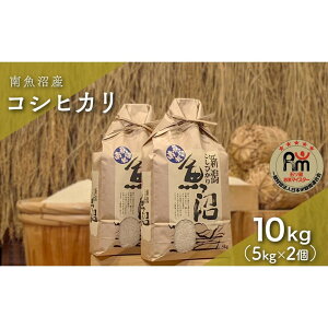 �y�ӂ邳�Ɣ[�Łz�ߘa7�N�Y�u�܂����ă}�C�X�^�[�v�̓싛���Y�R�V�q�J���@����10kg�i5kg×2�j | ���� ���� ���� �V�V�� �H�i �l�C �������� �������� ���� �싛��