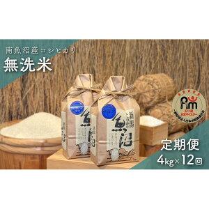 �y�ӂ邳�Ɣ[�Łz�ߘa7�N�Y�u�܂����ă}�C�X�^�[�v�̓싛���Y�R�V�q�J���@������4kg�i2kg×2�j×12��i��������ցj | ���� ���� ���� �V�V�� �H�i �l�C �������� �������� ���� �싛��