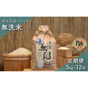 �y�ӂ邳�Ɣ[�Łz�ߘa7�N�Y�u�܂����ă}�C�X�^�[�v�̓싛���Y�R�V�q�J���@������5kg×12��i��������ցj | ���� ���� ���� �V�V�� �H�i �l�C �������� �������� ���� �싛��