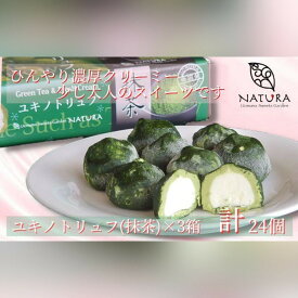 【ふるさと納税】チョコレート ショコラトリュフ 抹茶 スイーツ 生洋菓子 新潟県 南魚沼市 ナトゥーラ 濃厚ひんやり ユキノトリュフ 計3箱 | 菓子 おかし 食品 人気 おすすめ 送料無料