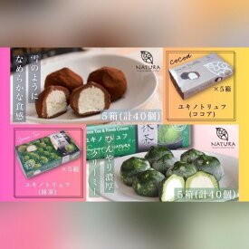 【ふるさと納税】チョコレート ショコラトリュフ ココア 抹茶 スイーツ 生洋菓子 新潟県 南魚沼市 ナトゥーラ 濃厚ひんやり ユキノトリュフ 計6箱 | 菓子 おかし 食品 人気 おすすめ 送料無料