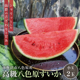 【ふるさと納税】先行予約【高級】八色原すいか小玉2玉【2026年7月中旬発送】【お届け日時指定不可】 | 果物 くだもの フルーツ 新潟 南魚沼 期間限定 人気 おすすめ 10000円 1万円 7月中旬 より順次発送 お取り寄せ グルメ スイカ 新潟県 南魚沼市