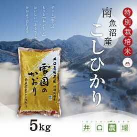【ふるさと納税】新米【令和8年産】南魚沼産コシヒカリ 5kg 井口農場こだわりの 特別栽培米【銘柄米 ブランド米 精米 こしひかり コシヒカリ 魚沼産 南魚沼産 新潟米 新潟県産 国産米 産地直送 ご飯 御飯 ごはん 厳選】【2026年10月上旬より順次発送予定】