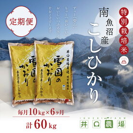 【ふるさと納税】新米【令和8年産】【定期便】10kg×6ヶ月　南魚沼産コシヒカリ 井口農場 こだわりの 特別栽培米【定期便 銘柄米 ブランド米 精米 こしひかり コシヒカリ 魚沼産 新潟米 新潟県産 産地直送 ご飯 御飯】【2026年10月上旬より順次発送予定】