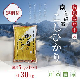 【ふるさと納税】新米【令和8年産】【定期便】5kg×6ヶ月　南魚沼産コシヒカリ 井口農場 こだわりの 特別栽培米【定期便 銘柄米 ブランド米 精米 こしひかり コシヒカリ 魚沼産 新潟米 新潟県産 産地直送 ご飯 御飯】【2026年10月上旬より順次発送予定】