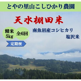 【ふるさと納税】令和8年産米 定期便【天水棚田米】特別栽培米雪蔵熟成塩沢産コシヒカリ精米5kg6回「とやの里山継承プロジェクト」【定期便 銘柄米 精米 こしひかり コシヒカリ 魚沼産 新潟米】【2026年10月下旬より順次発送予定】