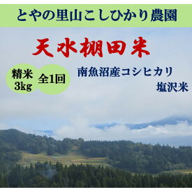 【ふるさと納税】令和8年産米 【天水棚田米】特別栽培米雪蔵熟成塩沢産コシヒカリ精米3kg1回「とやの里山継承プロジェクト」【銘柄米 精米 こしひかり コシヒカリ 魚沼産 新潟米 お米 米 こめ】【2026年10月下旬より順次発送予定】
