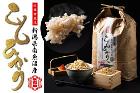 【ふるさと納税】【令和7年産】【玄米】自然農法/化学肥料不使用の南魚沼産こしひかり5kg　【魚沼産 銘柄米 特A コシヒカリ こしひかり 新潟米 玄米 和食向 国産米 定番米 高評価 産地直 家庭用 ブランド米 味重視】