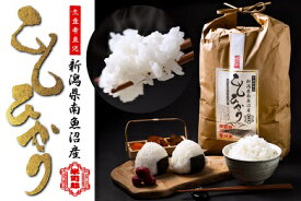 【ふるさと納税】【令和7年産】【精米】自然農法/化学肥料不使用の南魚沼産こしひかり5kg【魚沼産 銘柄米 特A コシヒカリ こしひかり 新潟米 白米 和食向 国産米 定番米 高評価 産地直 精米 家庭用 ブランド米】