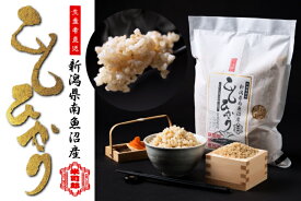 【ふるさと納税】【令和7年産】【玄米】自然農法/化学肥料不使用の南魚沼産こしひかり2kg【銘柄米 魚沼産 こしひかり コシヒカリ 特A 新潟米 高評価米 甘み 粘り米 香り米 玄米 国産米 産地米 食味良 米通販 家庭米 朝ご飯米 保存良米 主食米 和食米 米屋厳選】