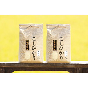yӂ邳Ɣ[Łzyߘa7NY Vė\z   RVqJ 싛Y 30kg ( 10kg × 3 ) yߘa7N11{菇\z |    RVqJ Hi lC  