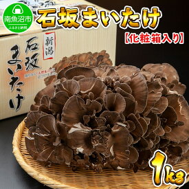 【ふるさと納税】新潟県 南魚沼産 厳選 国産 石坂 高級 舞茸 産地直送 1kg | 新潟県 南魚沼産 高級 石坂 舞茸 キノコ 食材 1kg ギフト gift お中元 お歳暮 取り寄せ 産地直送 まいたけ 国産