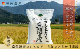 【ふるさと納税】【令和7年産新米】南魚沼産コシヒカリ 【5割減農薬栽培米】城内農産　白米4kg～10kg／無洗米4kg～20kg／定期便各種（一部品切れ中） | お米 白米 コシヒカリ 食品 人気 おすすめ 送料無料 南魚沼