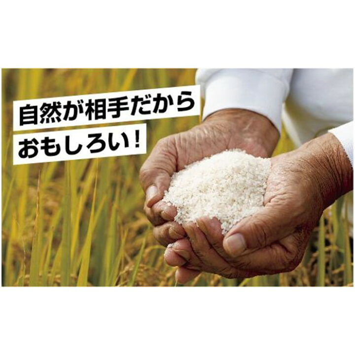 楽天市場】【ふるさと納税】【無地熨斗】|無洗米|新潟県 南魚沼産 コシヒカリ お米 2kg×2袋 計4kg(お米の美味しい炊き方ガイド付き) : 新潟県南魚沼市 楽天市場】【ふるさと納税】【無地熨斗】|無洗米|新潟県 南魚沼産 コシヒカリ お米 2kg×2袋 計4kg(お米の美味しい炊き方ガイド付き) : 新潟県南魚沼市