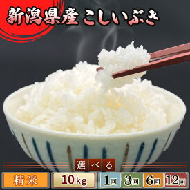 【ふるさと納税】令和8年産 新米 農家応援 米 新潟県産 こしいぶき 10kg 小分け 5kg×2袋 定期便 選べる 1回 3回 6回 12回 3ヶ月 6ヶ月 12ヶ月 3か月 6か月 12か月 新潟こしいぶき 精米 白米 お米 新潟県胎内市産こしいぶき（中条農産）