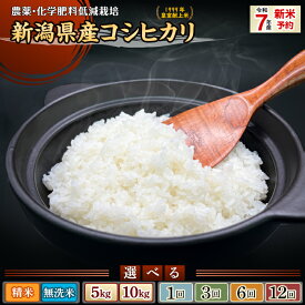 【ふるさと納税】新米予約 令和7年産 米 無洗米 定期便 5kg 10kg 新潟 コシヒカリ 5kg×2袋 小分け 精米 白米 お米 選べる 1回 3回 6回 12回 3ヶ月 6ヶ月 12ヶ月 新潟こしひかり 新潟県胎内市産コシヒカリ（中条農産）