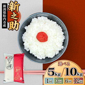 【ふるさと納税】令和7年産 米 新之助 5kg 10kg 定期便 選べる 1回 3回 6回 12回 3ヶ月 6ヶ月 12ヶ月 新潟 精米 白米 お米 新潟県胎内市産ちょっと贅沢な新之助（中条農産）